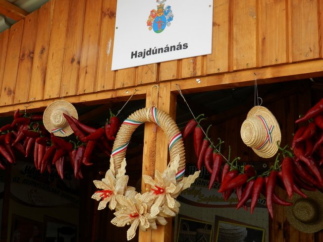 Megyei Közfoglalkoztatási Kiállítás 085